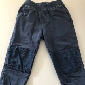 Tea Collection Pants